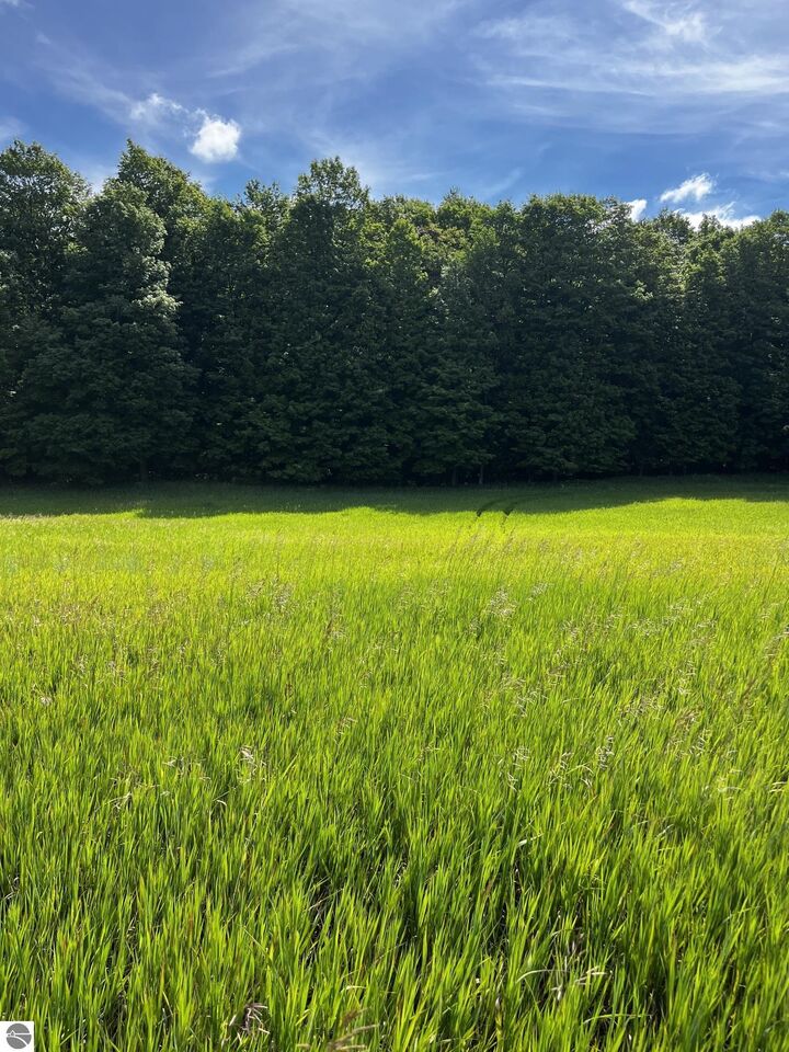Property Photo: 7745 Kingsley Road MI 49696