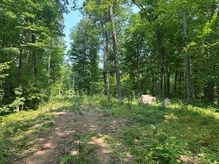 Property Photo: 10810N Dachstein Lane WI 54843