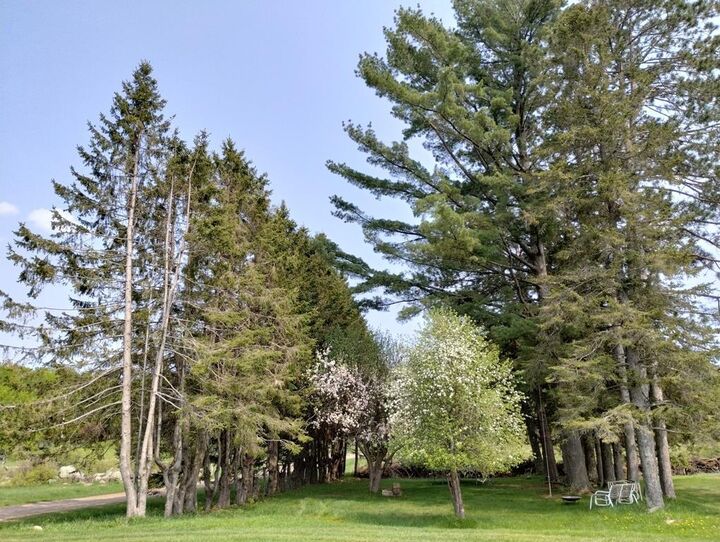 Property Photo: 12279 Stangle Road WI 54514