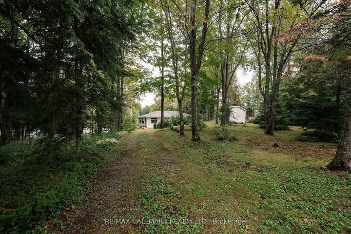 1124 Comfort Drive — photo 1