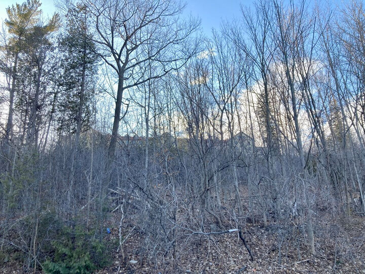 Property Photo:  00 Wood Cliff Drive  NY 12901 