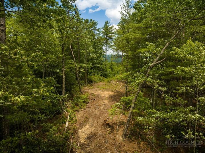 Property Photo:  1328 Reynolds Parkway  NC 28624 