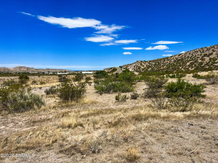 Property Photo:  81 Berrenda Creek  NM 88042 