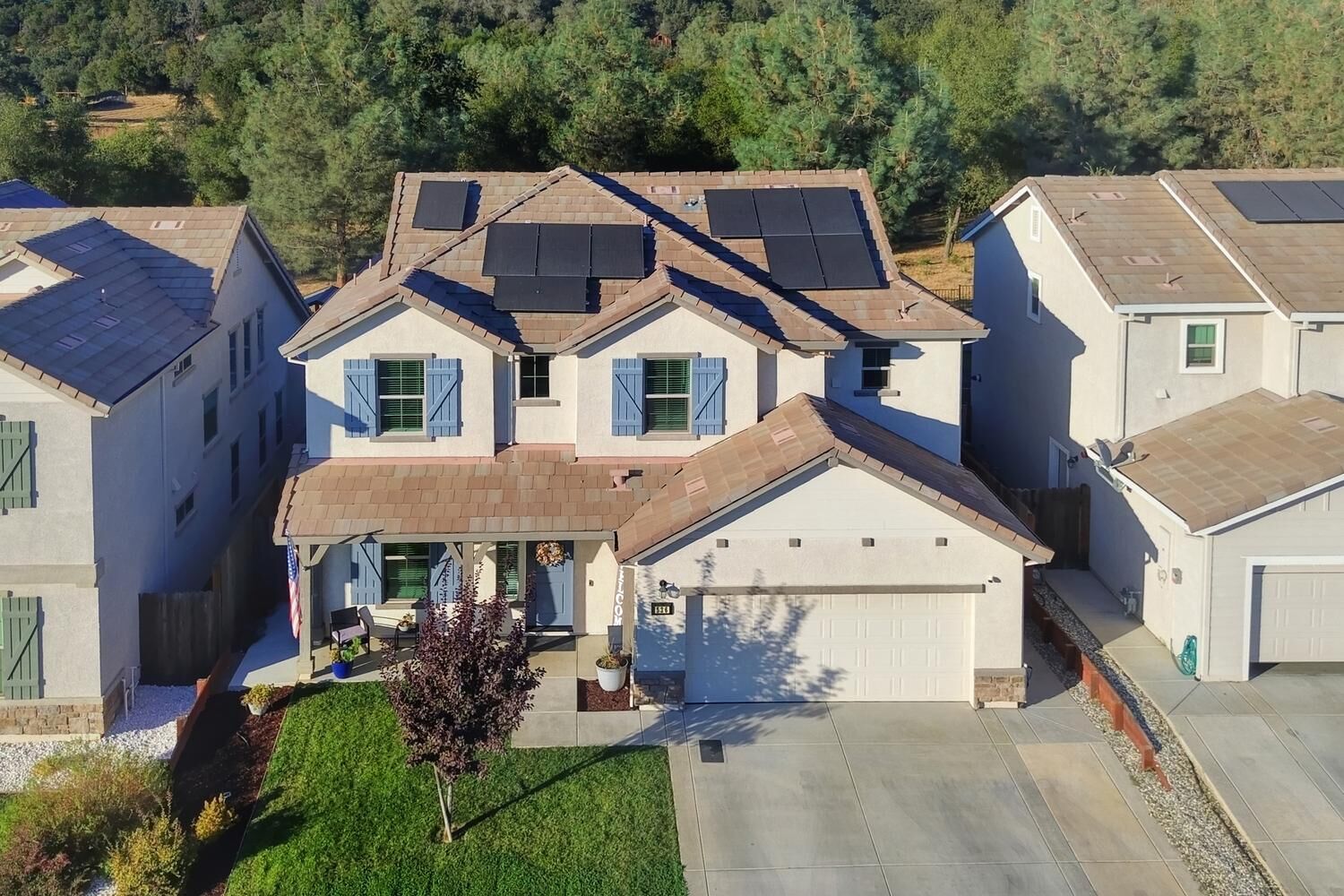 Property Photo:  536 Lupine Drive  CA 95640 
