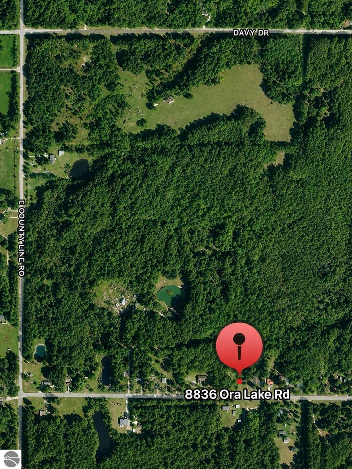 Property Photo:  8836 Ora Lake Road  MI 48739 