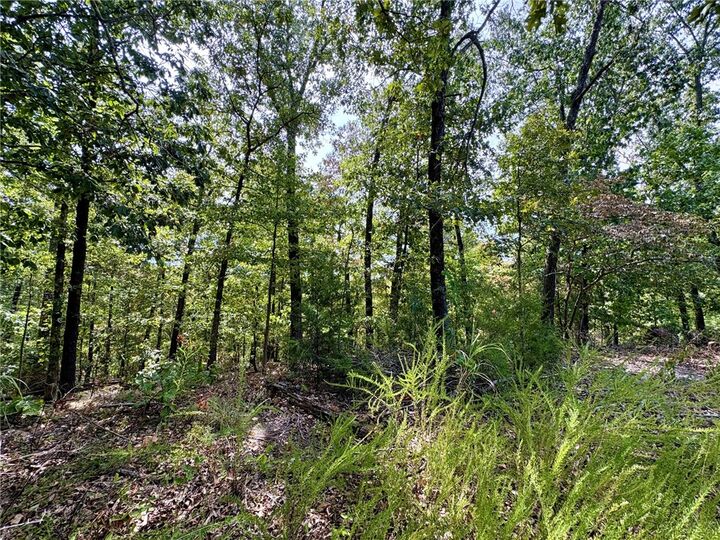 Property Photo: 3 Burn Lane AR 72714