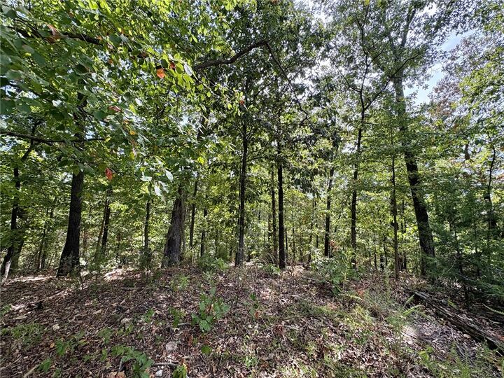 Property Photo: 3 Burn Lane AR 72714