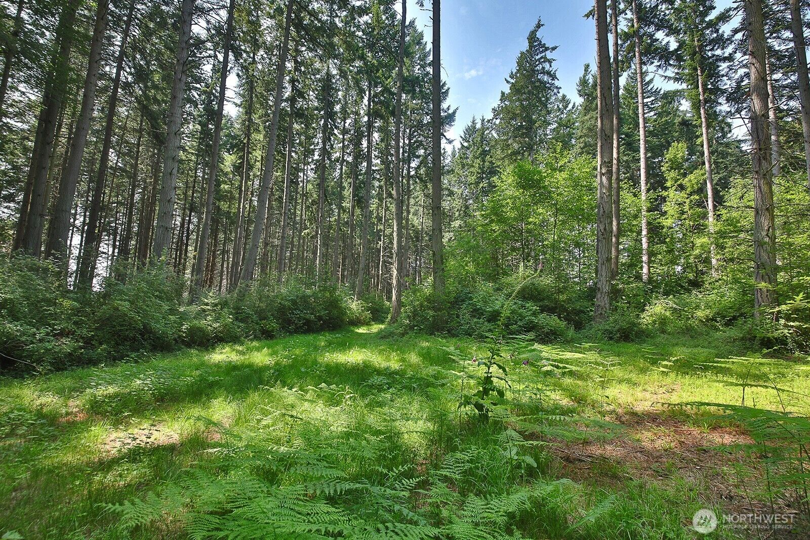 Property Photo: 0 Xxx Hellman Road WA 98236