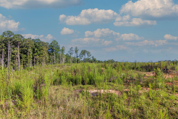 Property Photo:  Tract 1 Highway 0036  GA 31836 