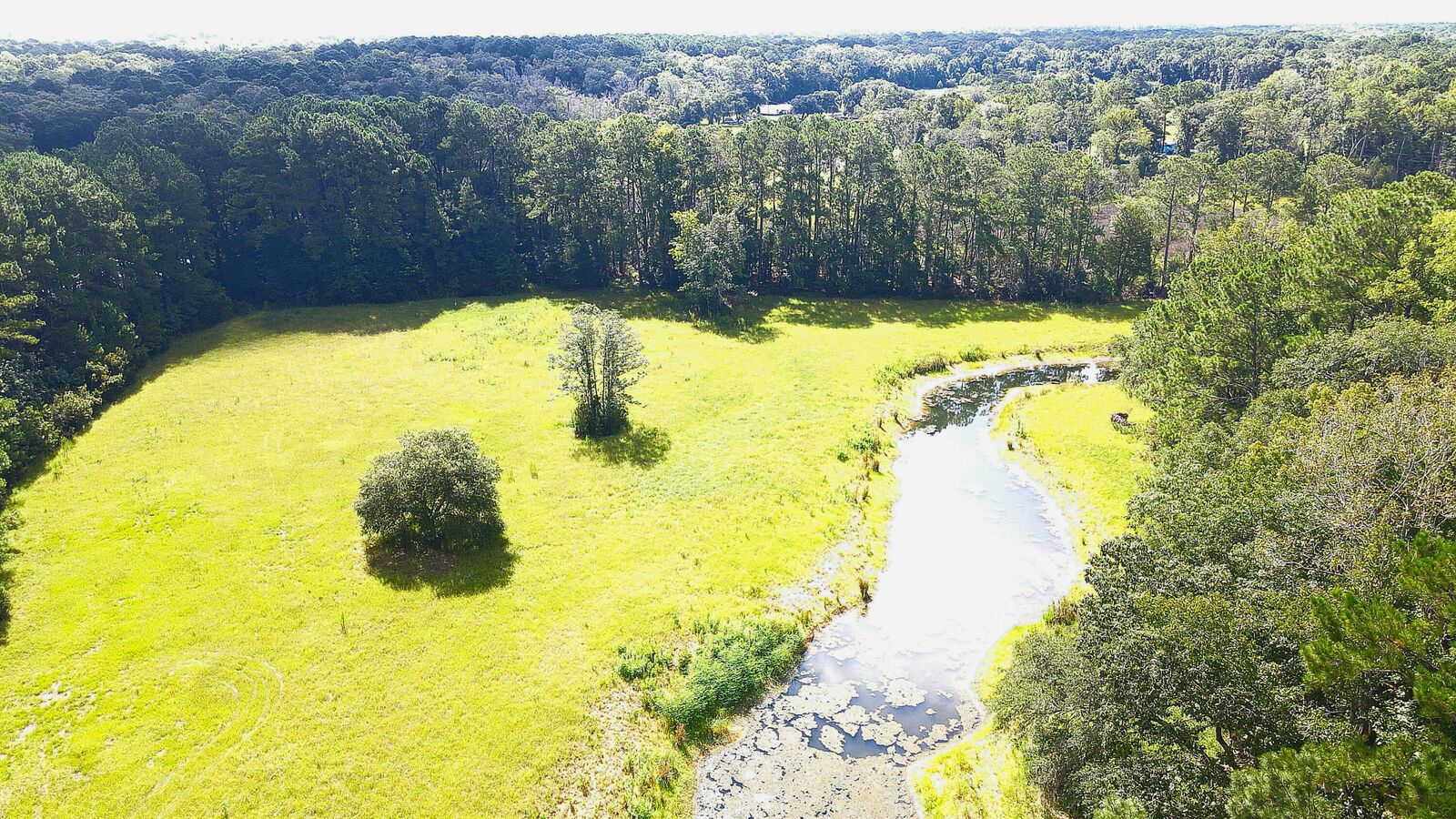 Property Photo:  4503 Chisolm Road Lot B  SC 29455 