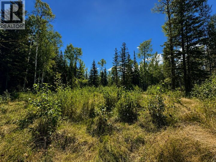 Property Photo:  5 Airport Road Lot  BC V0J 2E0 