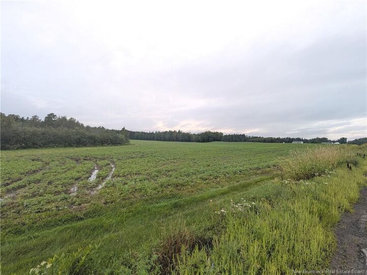 Property Photo:  Lot St. Philippe  NB E1H 1S1 