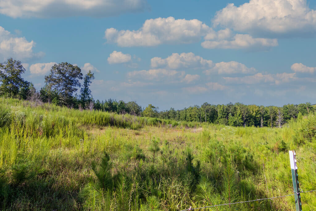 Property Photo:  Tract 8 Carlisle Gap Road  GA 31836 