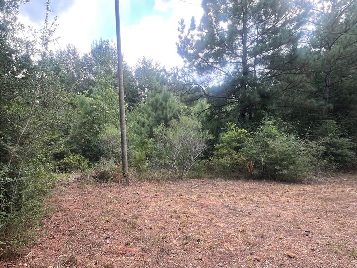 Property Photo: 7926 E Fm 942 TX 77351