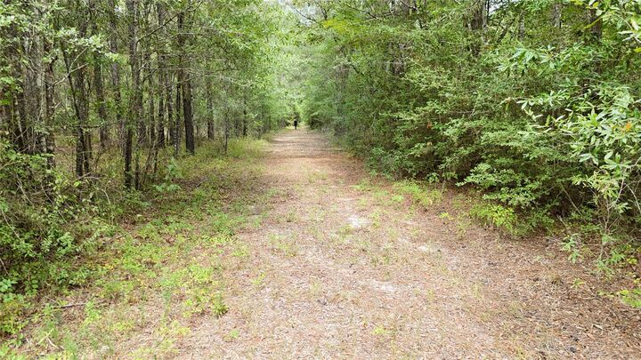 Property Photo: Tbd Douglas Nugent Road TX 77351