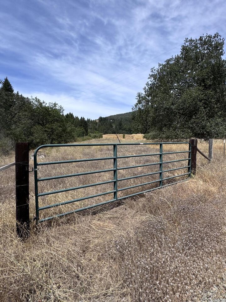 Property Photo:  331 Lamb Creek Road  CA 95552 