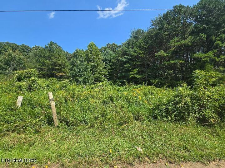 Property Photo: Black Creek Rd TN 37841