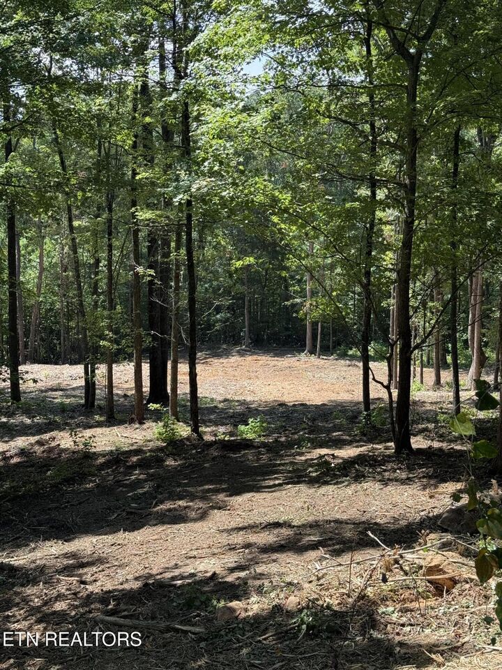 Property Photo:  Lot 150 Mountaineer Tr  TN 37862 