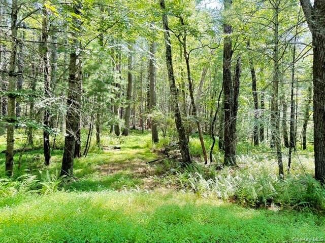 Property Photo:  Lot 3.18 Fish Cabin Road  NY 12737 