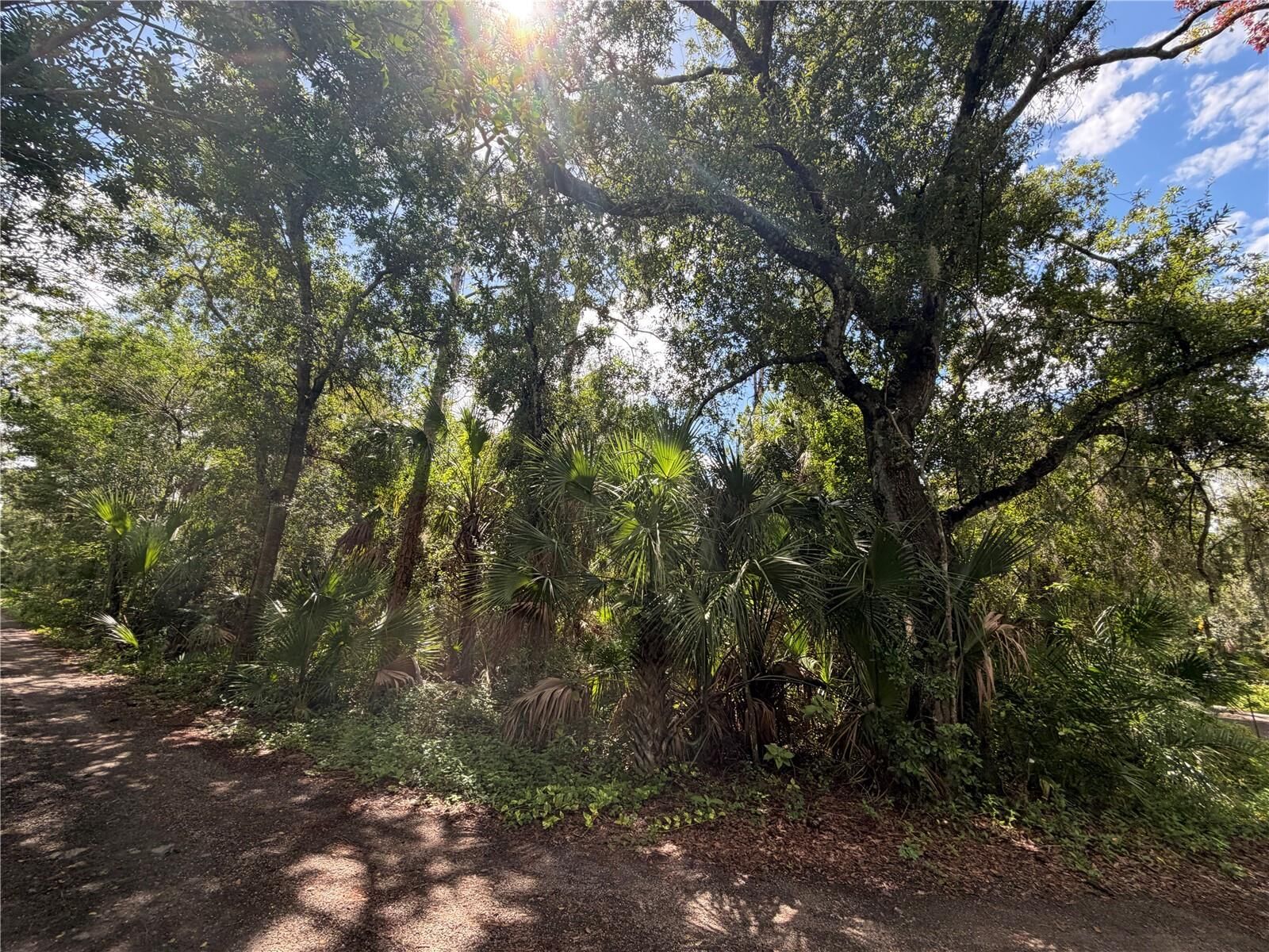 Property Photo: Whitfield Avenue FL 34243