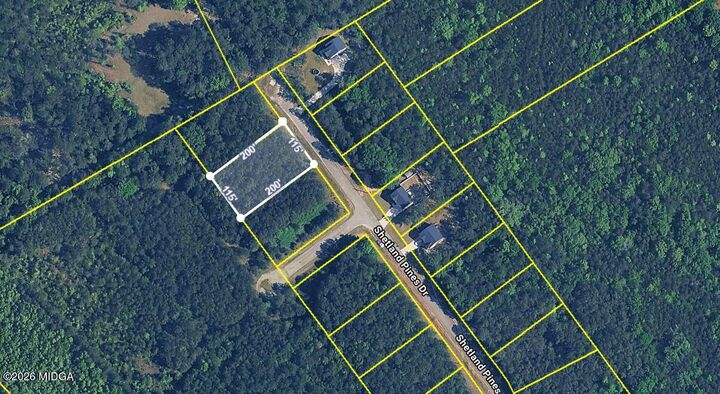 Property Photo: 168 Shetland Pines Drive GA 31216