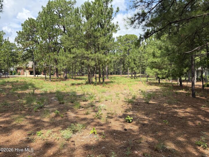 Property Photo:  21 Strathaven Drive  NC 28374 