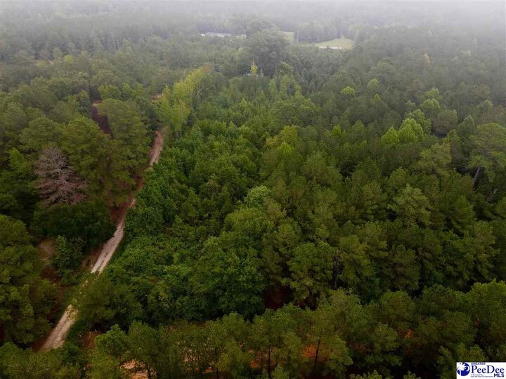 Property Photo: 96 Pine Tree Ln SC 29709