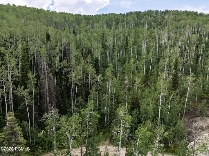 Property Photo:  2096 S Uintah View Drive  UT 84017 