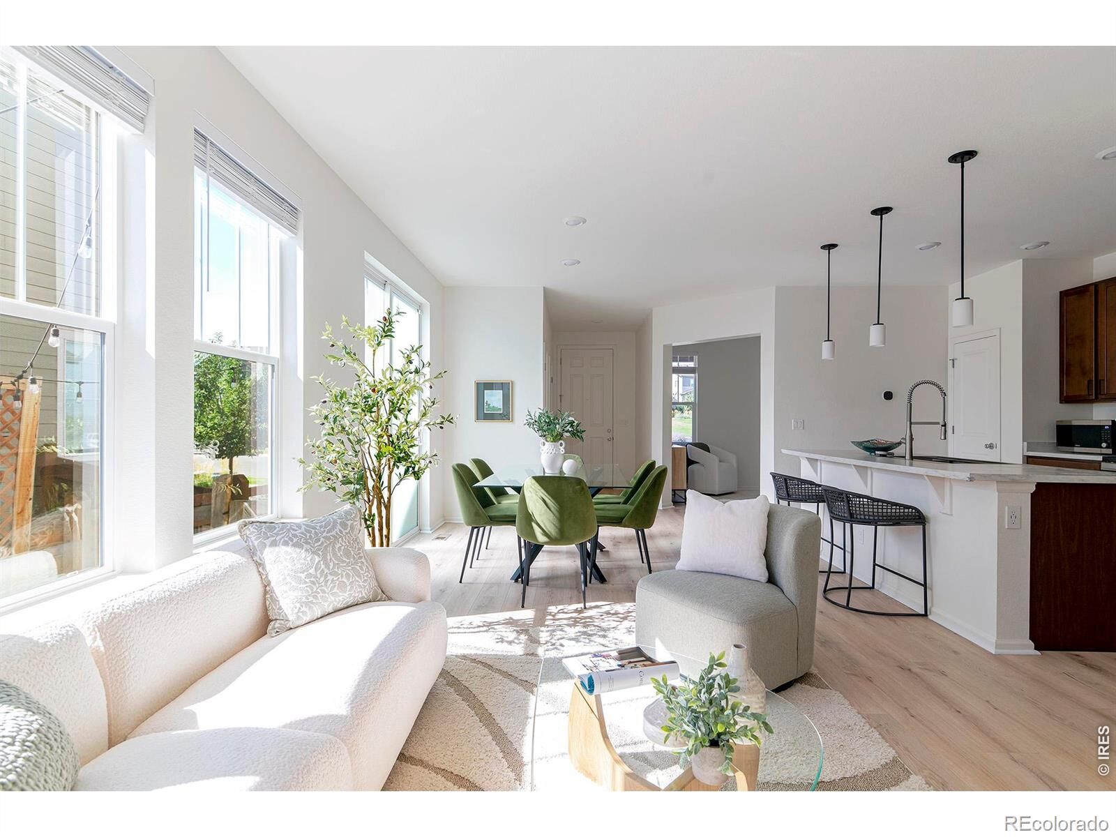 Property Photo: 348 Rodden Drive CO 80516