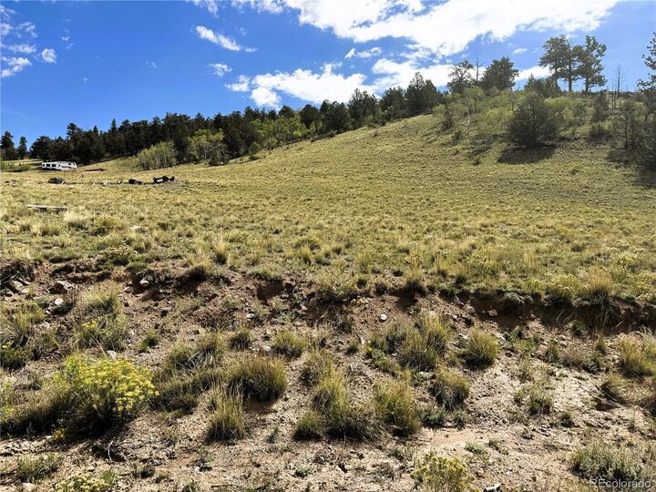 Property Photo: 8390 Chickasaw Road CO 80449