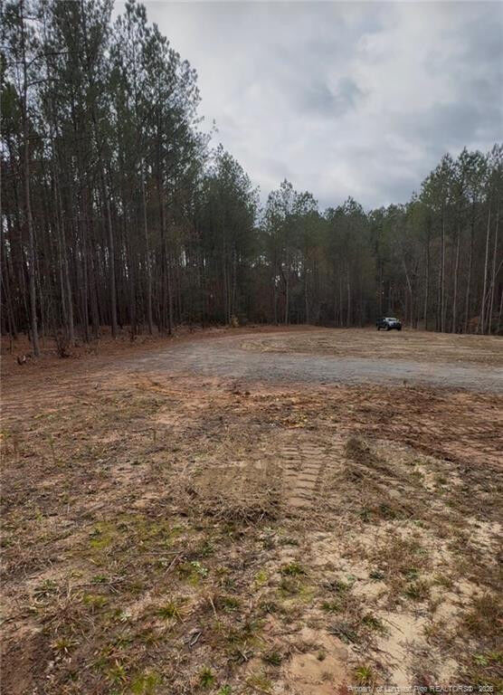 Property Photo:  183 Thistlecone Lane  NC 27330 