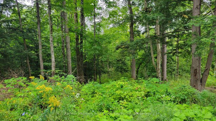 Property Photo:  0 Black River Road N  ON K0K 3J0 