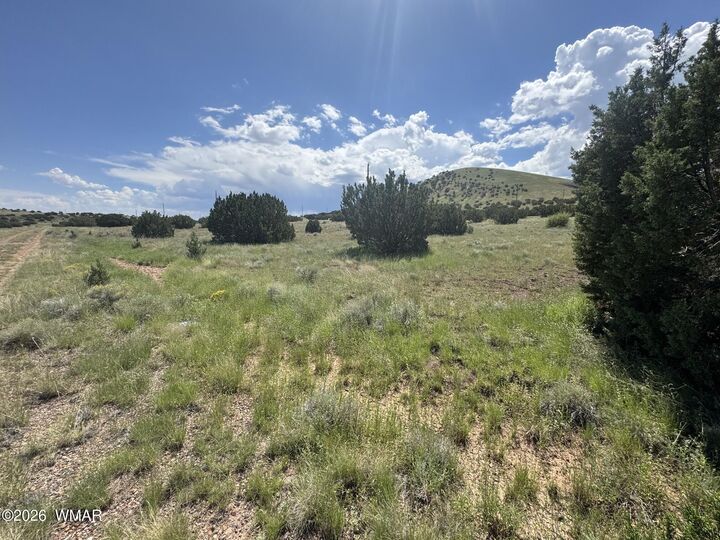 Property Photo:  103 Cr 5202  AZ 85924 