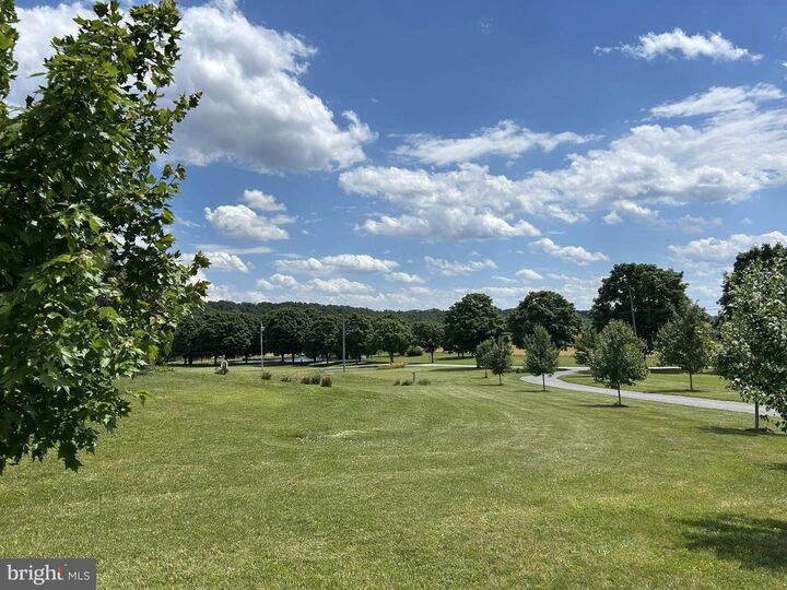Property Photo:  10241 Woodsboro Pike  MD 21793 