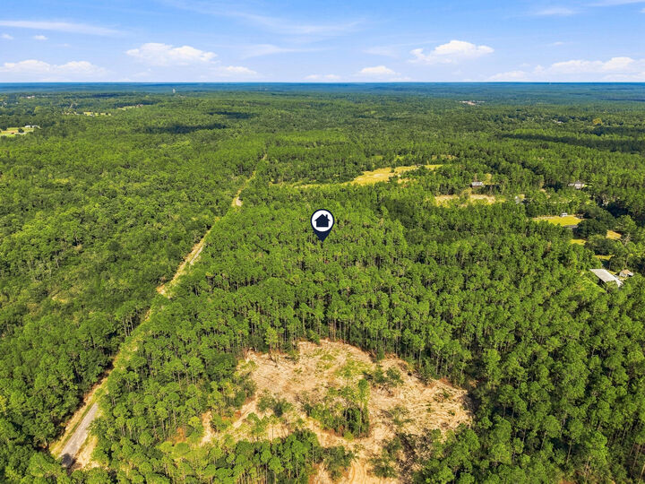 Property Photo:  8.42 Acres Main Drive  FL 32539 