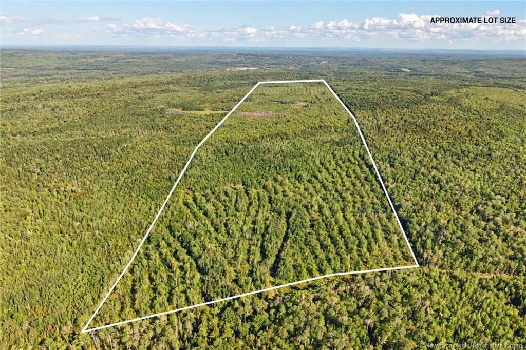 Property Photo:  Land Mountain Road  NB E3E 2H9 