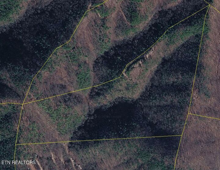 Property Photo:  1080 Hembree Hollow Rd  TN 37882 