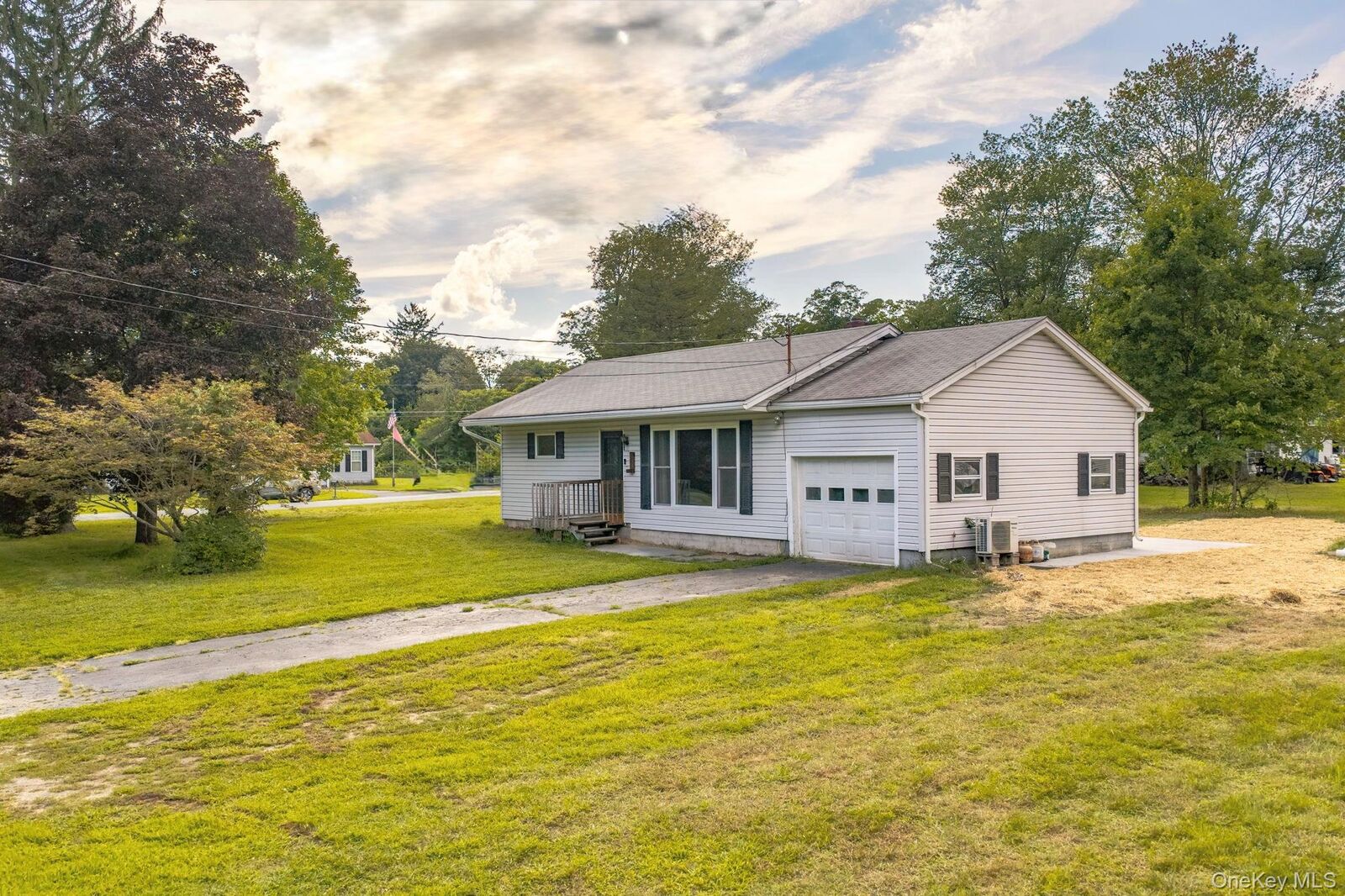 Property Photo:  3 Wihelmina Street  NY 12771 