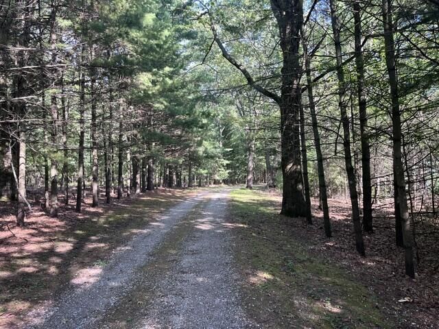 Property Photo: 2235 Siuda Road MI 49660