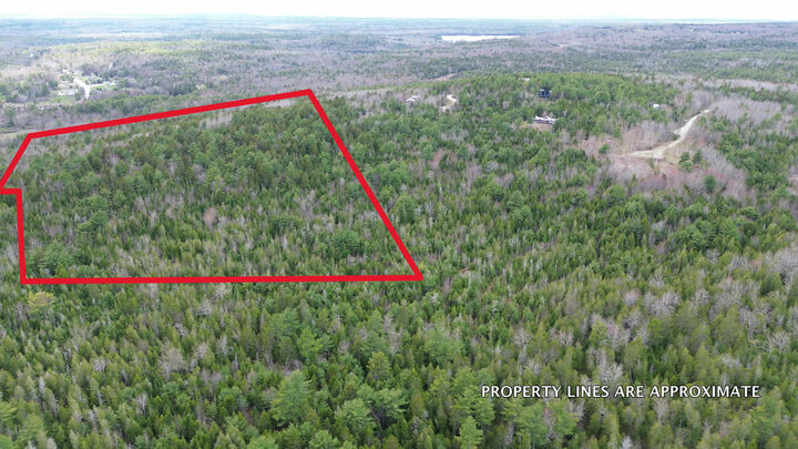 Property Photo:  Map6, 21 Bailey Mountain Road  ME 04634 
