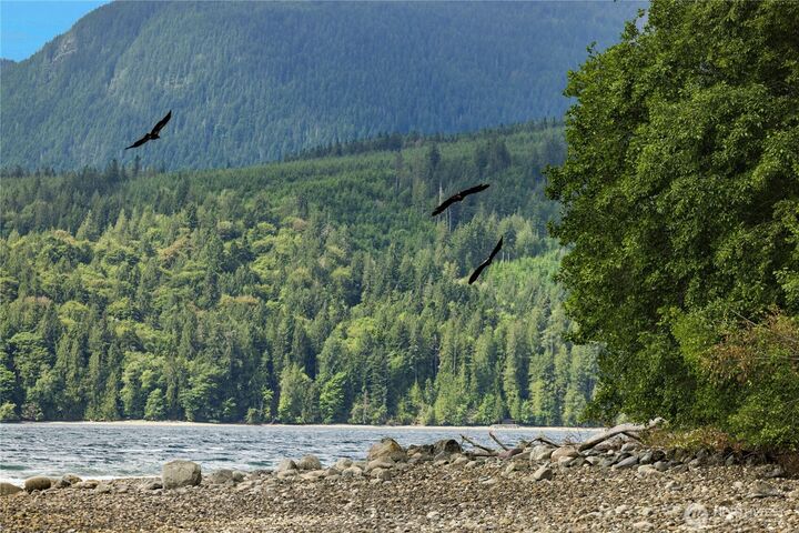Property Photo:  0  K-Tract 9 McDonald Road  WA 98376 