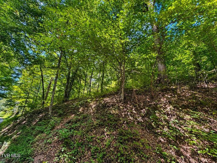 Property Photo:  Tbd Hickman Hollow Road  TN 37873 