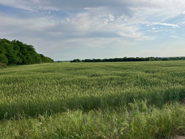 Property Photo: Tbd Tract 3C Airville Road TX 76501