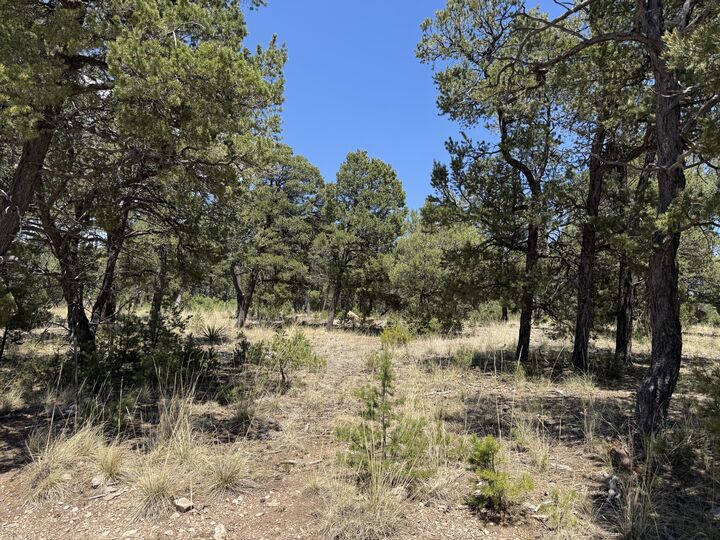 Property Photo: 17 Wild Wings Circle NM 87552
