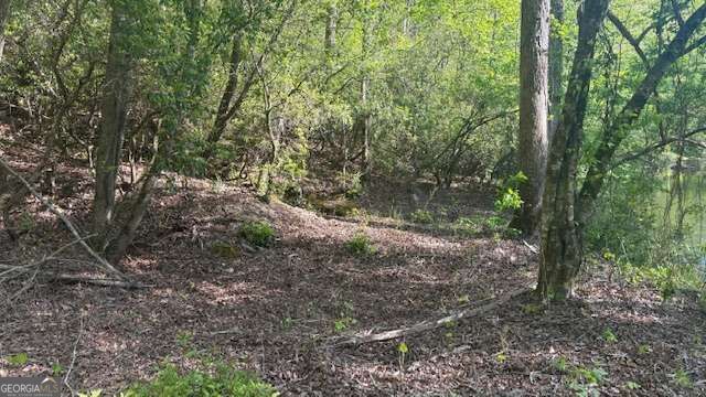 Property Photo: 01 Highway 136 W GA 30175