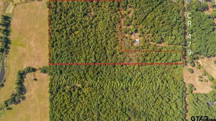 Property Photo:  Tbd Cr 479 (14.99 Ac Tract 4)  TX 75771 