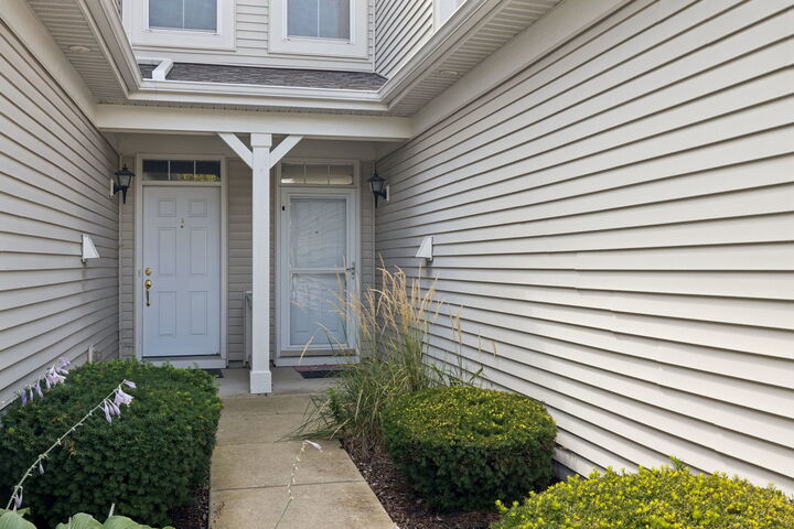 Property Photo:  497 Dancer Lane 6-3  IL 60543 