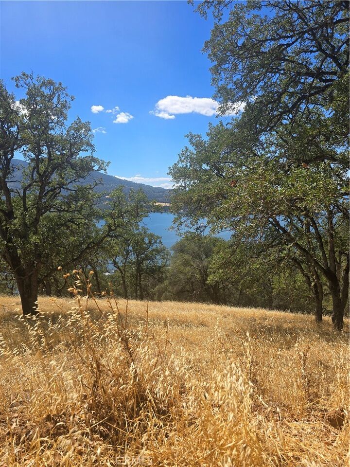 Property Photo:  9500 Glenhaven Drive  CA 95443 