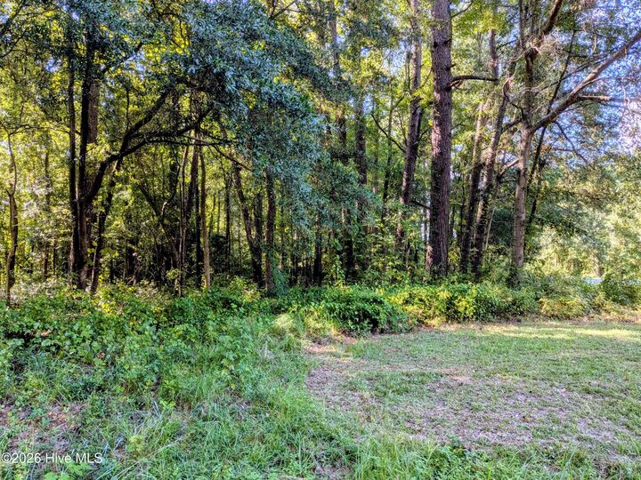 Property Photo:  24 Baltimore Road  NC 28456 
