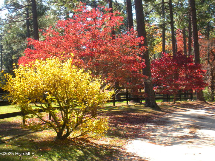 Property Photo: 292 Bump A Long Lane NC 28387